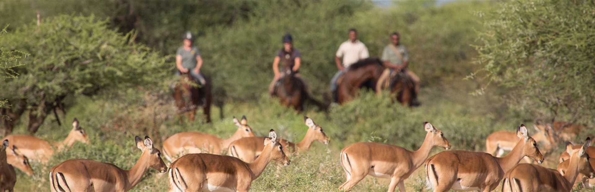 Botswana - Horse Riding Safari